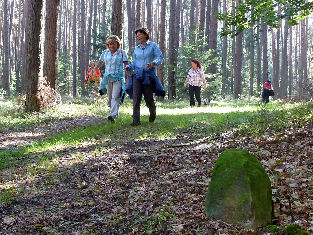Wegbegleiter: Alte Grenzsteine &ndash;  (28.09.2013, VGN &copy;&nbsp;VGN GmbH)