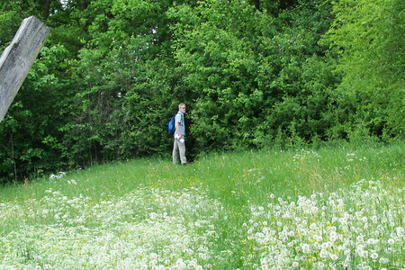 Blumenwiese &ndash; (09.02.2018, VGN &copy;&nbsp;VGn GmbH)