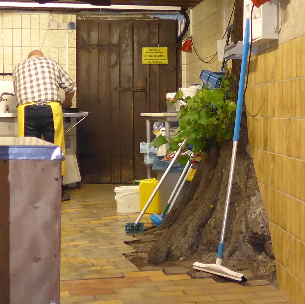 Die Linde in der Küche &ndash;  (18.02.2019, &copy;&nbsp;Gertrud Härer)