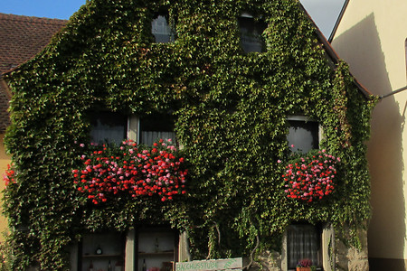 Weinstube Markert &ndash; (VGN &copy;&nbsp;VGN GmbH)