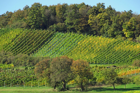 Fränkisches Weinland &ndash; (VGN &copy;&nbsp;VGN GmbH)