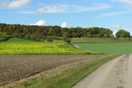 Wiesenweg &ndash; (VGN &copy;&nbsp;VGN GmbH)