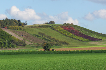Kapellenberg &ndash; (VGN &copy;&nbsp;VGN GmbH)