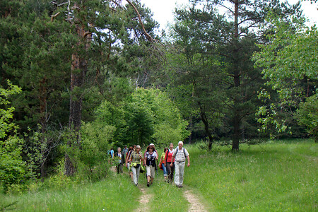 Wandergruppe &ndash; (28.05.2012, VGN &copy;&nbsp;VGN GmbH)