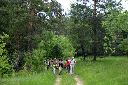 Wandergruppe &ndash; (28.05.2012, VGN &copy;&nbsp;VGN GmbH)