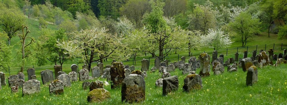 Ermreuther Judenfriedhof &ndash;  (21.04.2014, VGN &copy;&nbsp;VGN GmbH)