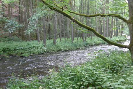 Oelschnitz &ndash; (04.02.2016, UNTHEIM Presse PR Publikationen &copy;&nbsp;UNTHEIM Presse PR Publikationen)