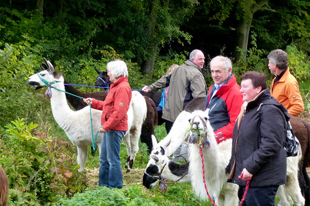 Lamatrekking &ndash; (12.02.2016, VGN &copy;&nbsp;VGN GmbH)