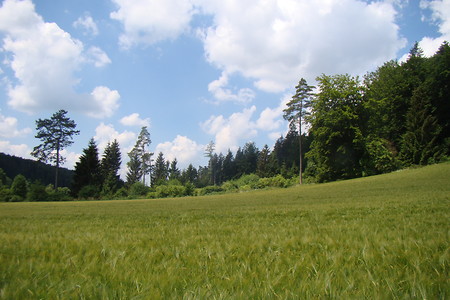 Högenbachtal &ndash; (01.07.2015, VGN &copy;&nbsp;VGN GmbH)