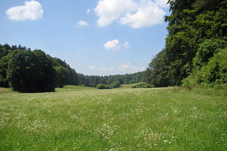 Seitental nach Ernhüll &ndash; (01.07.2015, VGN &copy;&nbsp;VGN GmbH)