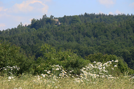 Blick nach Lichtenegg &ndash; (01.07.2015, VGN &copy;&nbsp;VGN GmbH)