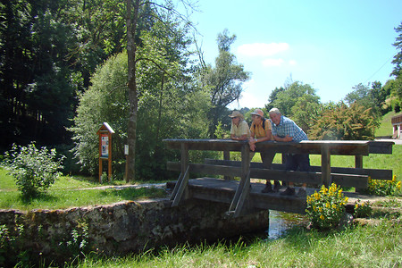 Brücke überm Högenbach &ndash; (01.07.2015, VGN &copy;&nbsp;VGN GmbH)
