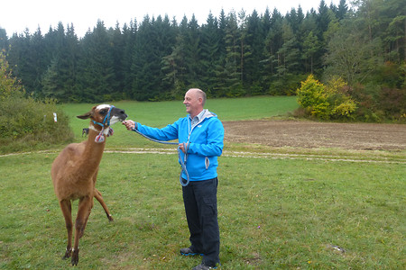 Lamatrekking 2 &ndash; (12.02.2016, VGN &copy;&nbsp;VGN GmbH)