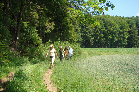 Unterwegs &ndash; (01.07.2015, VGN &copy;&nbsp;VGN GmbH)