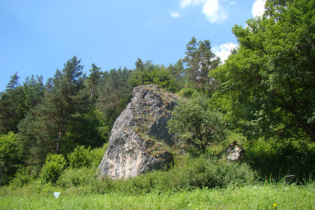 Felsen im Högenbachtal &ndash; (01.07.2015, VGN &copy;&nbsp;VGN GmbH)