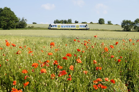 agilis-Zug &ndash; (&copy;&nbsp;agilis / Stefan Winkler)