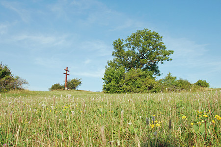 Staffelberg, Blumenwiese &ndash; (06.08.2014, VGN &copy;&nbsp;VGN GmbH)