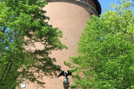 Garnisonsmuseum &ndash; (15.05.2018, VGN &copy;&nbsp;VGN GmbH)