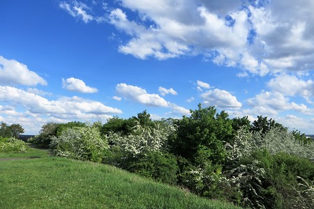 Am Schweinauer Buck &ndash; (15.05.2018, VGN &copy;&nbsp;VGN GmbH)