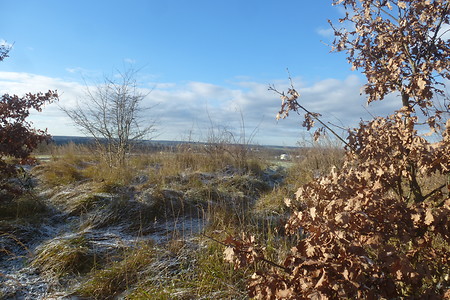 Herbst am Föhrenbuck &ndash; (15.05.2018, VGN &copy;&nbsp;VGN GmbH)