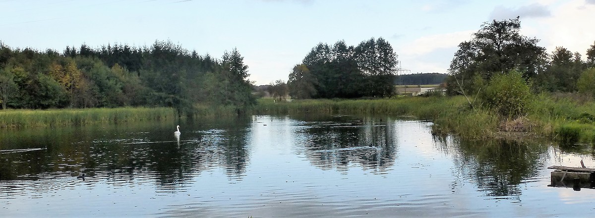 Schlossweiher &ndash;  (09.02.2018, VGN &copy;&nbsp;VGN GmbH)