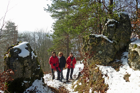 Auf dem Hirtenberg &ndash; (01.02.2014, VGN &copy;&nbsp;VGN GmbH)