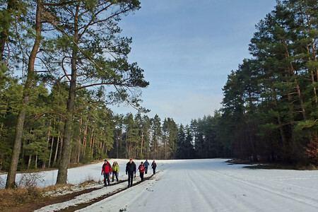 Winter in der Frankenalb &ndash; (01.02.2014, VGN &copy;&nbsp;VGN GmbH)