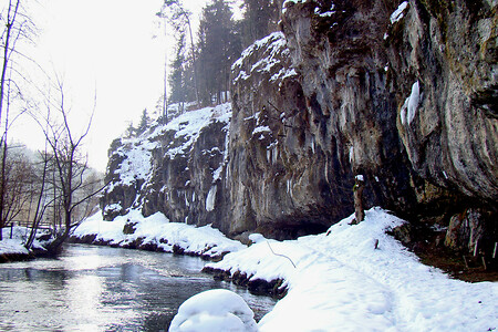 Winter im Pegnitztal bei Velden &ndash; (08.02.2010, VGN &copy;&nbsp;VGN GmbH)