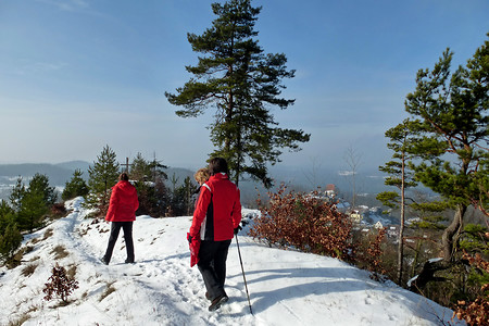 Weg zum Gipfelkreuz auf dem Hirtenberg &ndash; (01.02.2014, VGN &copy;&nbsp;VGN GmbH)
