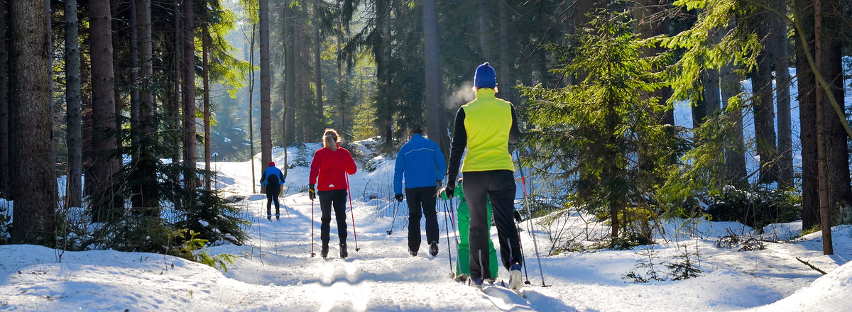 Langlauf im Fichtelgebirge &ndash;  (05.02.2012, Simone Werner-Ney &copy;&nbsp;www.webdesign-stube.de)