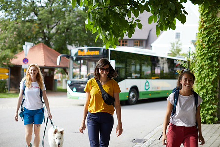 Birgland-Express Linie 479