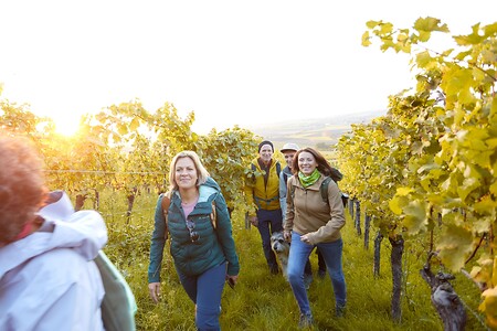 NEU: Weinkultur, Winzerstuben und Weitblicke im Weinparadies Franken  |  Tour 219