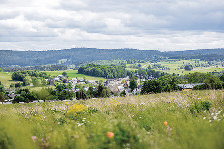 Hochfrankenwald-Express Linie 1332