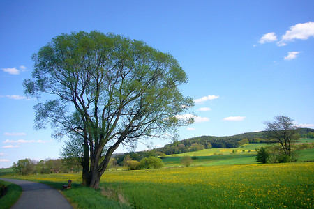 Landschaft &ndash; (04.05.2012, up3 &copy;&nbsp;up3)