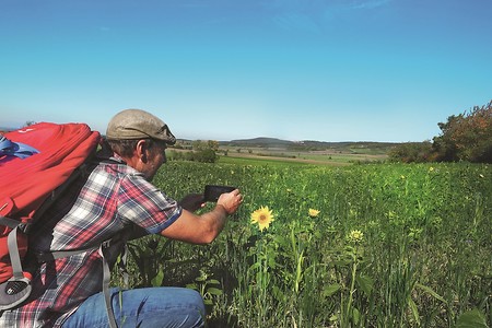 Sonnenblumenfotograf &ndash; (03.12.2019, U. Buescher &copy;&nbsp;VGN GmbH)