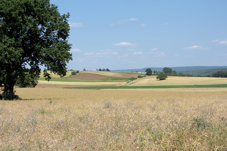 Beim Kreuzberg &ndash; (15.07.2013, VGN &copy;&nbsp;VGN GmbH)
