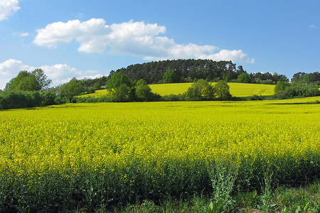 Bei Hallerndorf &ndash; (08.05.2013, VGN &copy;&nbsp;VGN GmbH)
