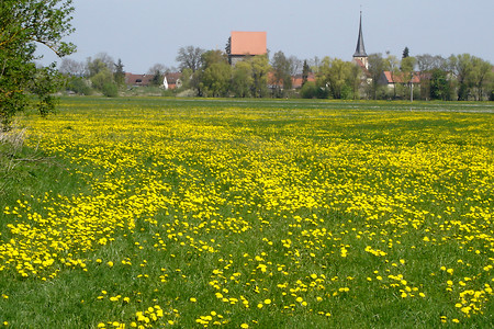Dachsbach &ndash; (04.05.2006, VGN &copy;&nbsp;VGN GmbH)