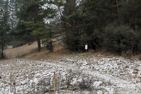 Anstieg &ndash; (22.06.2018, VGN &copy;&nbsp;VGN GmbH)