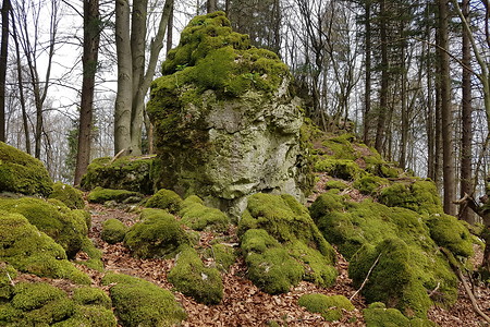 Felsen im Wald &ndash; (15.04.2018, VGN S.Dassler &copy;&nbsp;VGN GmbH)