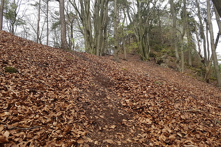 Weg hinauf &ndash; (15.04.2018, VGN S.Dassler &copy;&nbsp;VGN GmbH)