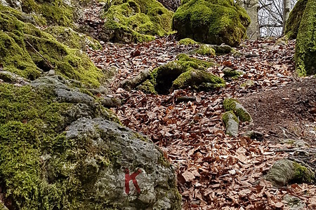 Aufstieg zum Kreuzberg &ndash; (15.04.2018, VGN S.Dassler &copy;&nbsp;VGN GmbH)