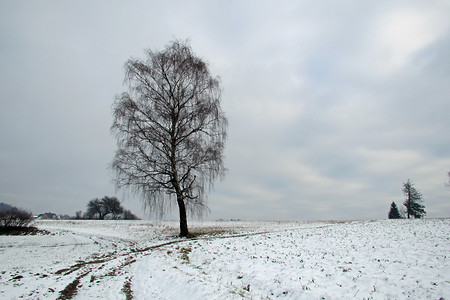 Winterlandschaft &ndash; (22.03.2018, VGN &copy;&nbsp;VGN GmbH)