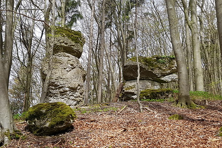 Felsen am Rückweg im Wald &ndash; (15.04.2018, VGN S.Dassler &copy;&nbsp;VGN GmbH)