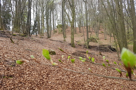 Weg zum Neutrasfelsen &ndash; (15.04.2018, VGN S.Dassler &copy;&nbsp;VGN GmbH)