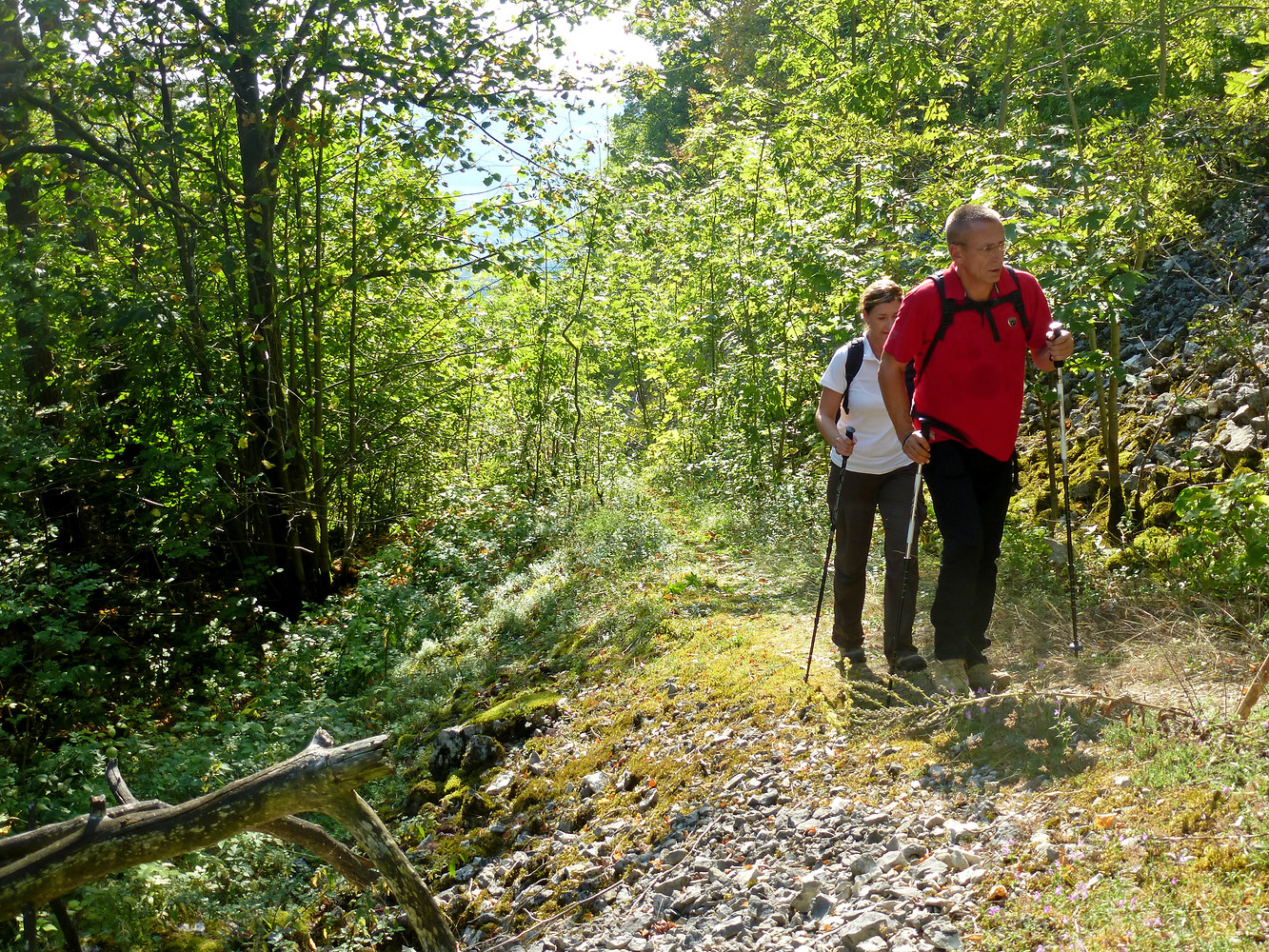 Hinauf zur Geißkirche &ndash;  (07.09.2013, VGN &copy;&nbsp;VGN GmbH)