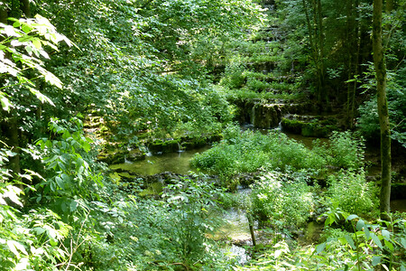Sinterterrassen im Frühling &ndash; (14.07.2013, VGN &copy;&nbsp;VGN GmbH)