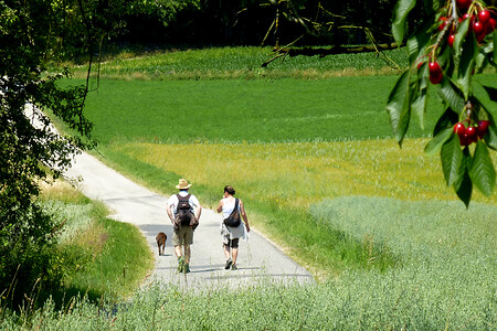 Hinter Wölfersdorf &ndash; (14.07.2013, VGN &copy;&nbsp;VGN GmbH)