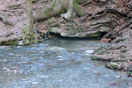 Lillachquelle &ndash; (23.03.2009, VGN &copy;&nbsp;VGN GmbH)