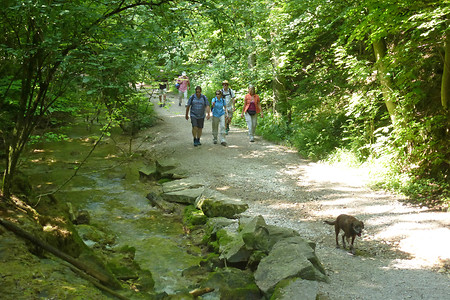 Entlang der Lillach &ndash; (14.07.2013, VGN &copy;&nbsp;VGN GmbH)